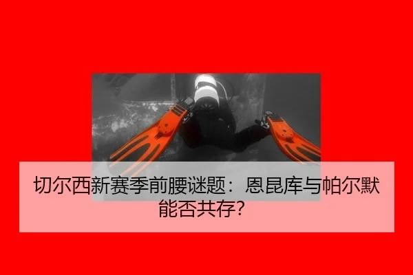 qie-er-xi-xin-sai-ji-qian-yao-mi-ti-en-kun-ku-yu-pa-er-mo-neng-fou-gong-cun-2-870.jpg