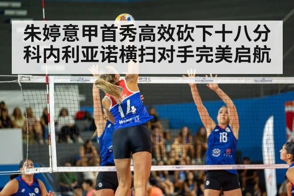 volleyball match action